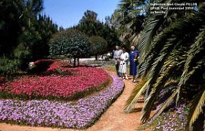 ORAN PARC MUNICIPAL-1956